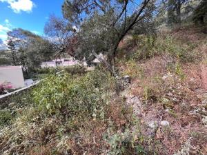 Terreno en venta en Pinar de la Venta, Zapopan — foto 3 de 12