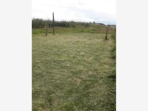 Terreno en venta en San Miguel Totocuitlapilco, Metepec — foto 2 de 2