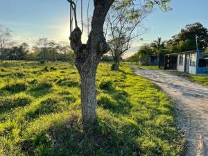 Terreno en venta en Tierra Amarilla 1ra. Sección, Centro — foto 3 de 8