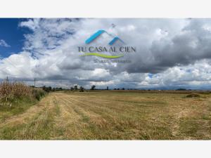 Terreno en venta en San Lucas Tepemajalco, San Antonio la Isla — foto 3 de 5