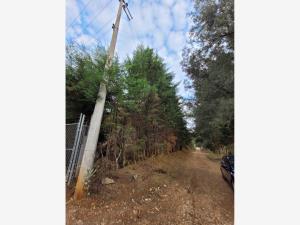 Terreno en venta en Pontezuelas, Charo — foto 2 de 7