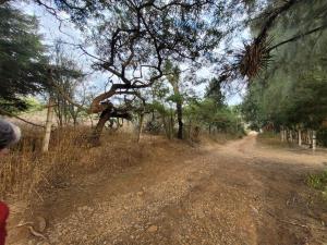 Terreno en venta en Pontezuelas, Charo — foto 3 de 7
