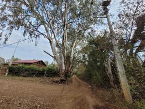 Terreno en venta en Pontezuelas, Charo — foto 2 de 7