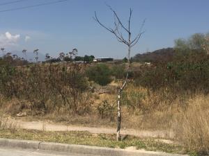 Terreno en venta en La Venta del Astillero, Zapopan, Jalisco Terreno en venta en La Venta del Astillero, Zapopan, Jalisco
