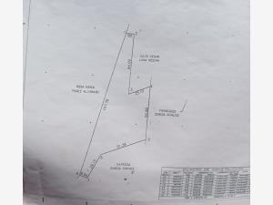 Terreno en venta en Albia, Torreón — foto 3 de 10
