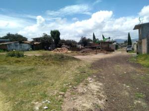 Terreno en venta en Teotlalpan, Chignahuapan — foto 2 de 15