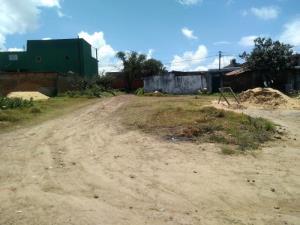 Terreno en venta en Teotlalpan, Chignahuapan — foto 3 de 15