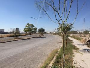 Terreno en Lagos, Torreón, Coahuila de Zaragoza