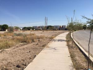 Terreno en venta en Lagos, Torreón — foto 2 de 6