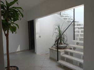 Casa en venta en Lomas de Cortes, Cuernavaca — foto 3 de 32