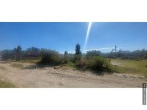 Terreno en venta en Las Pintas, El Salto — foto 2 de 8