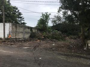 Terreno en venta en Campestre las Bajadas, Veracruz — foto 3 de 4