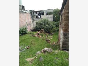 Terreno en venta en San Nicolás el Oro (San Nicolás), El Oro — foto 2 de 8