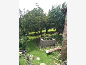 Terreno en venta en San Nicolás el Oro (San Nicolás), El Oro — foto 3 de 8