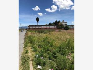 Terreno en venta en San Francisco, San Mateo Atenco — foto 2 de 4
