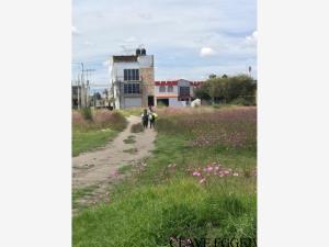 Terreno en venta en San Francisco, San Mateo Atenco — foto 3 de 4