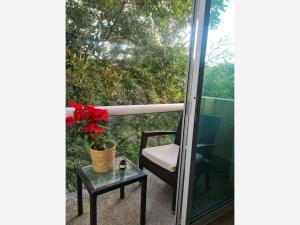 Departamento en venta en Analco, Cuernavaca, Morelos