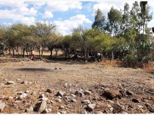 Terreno en venta en Poblado de Don Diego, San Miguel de Allende — foto 3 de 3