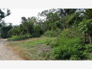 Terreno en venta en La Isla (Kilómetro 10), Tihuatlán, Veracruz de Ignacio de la Llave