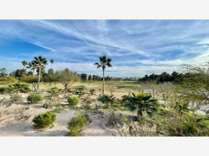 Terreno en venta en Montebello, Torreón — foto 2 de 7