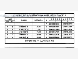 Terreno en venta en Los Lermas, Guadalupe — foto 3 de 3