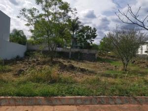 Terreno en venta en Extensión Vista Hermosa, Cuernavaca — foto 3 de 4