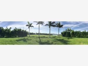Terreno en venta en El Dorado Residencial, Boca del Río — foto 3 de 8