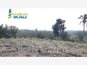 Terreno en venta en Totomoxtle, Papantla — foto 2 de 16