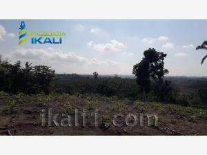 Terreno en venta en Totomoxtle, Papantla — foto 3 de 16