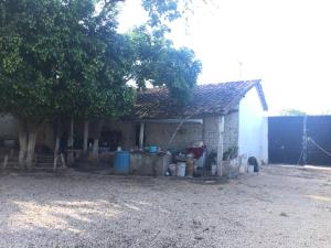 Casa en venta en Pénjamo, Berriozábal — foto 3 de 30