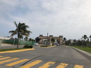 Terreno en venta en Las Lomas Residencial, Alvarado — foto 3 de 22