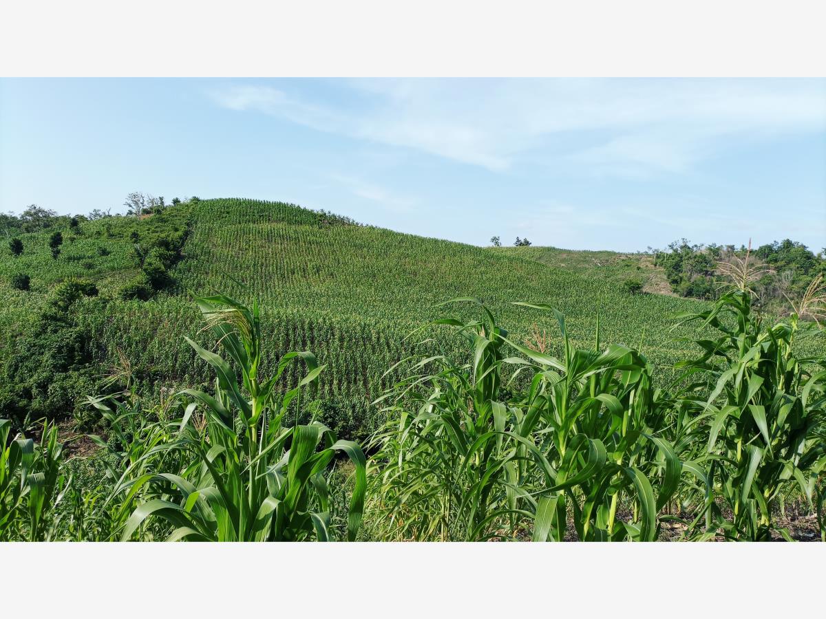 Terreno en venta en Santa Águeda, Papantla — foto 1 de 11