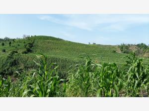 Terreno en venta en Santa Águeda, Papantla, Veracruz de Ignacio de la Llave