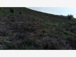Terreno en venta en Santa Águeda, Papantla — foto 2 de 11
