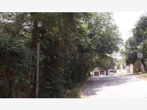 Terreno en venta en Rincon de la Sierra, Guadalupe — foto 2 de 5