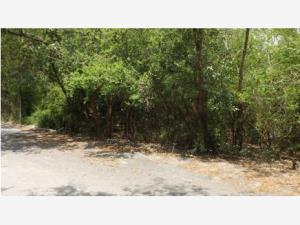 Terreno en venta en Rincon de la Sierra, Guadalupe — foto 3 de 7