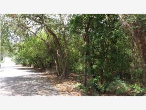 Terreno en venta en Rincon de la Sierra, Guadalupe — foto 2 de 7