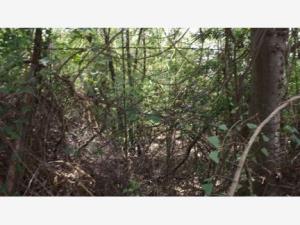 Terreno en venta en Rincon de la Sierra, Guadalupe — foto 3 de 4