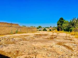 Terreno en venta en Lerdo Centro, Lerdo — foto 2 de 11