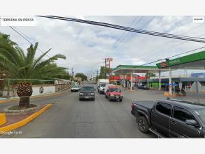 Terreno en renta en Buenavista Norte, Piedras Negras — foto 3 de 11