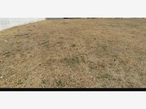 Terreno en venta en Residencial del Bosque, Veracruz — foto 3 de 5