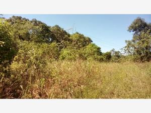 Terreno en venta en La Isla (Kilómetro 10), Tihuatlán — foto 2 de 10