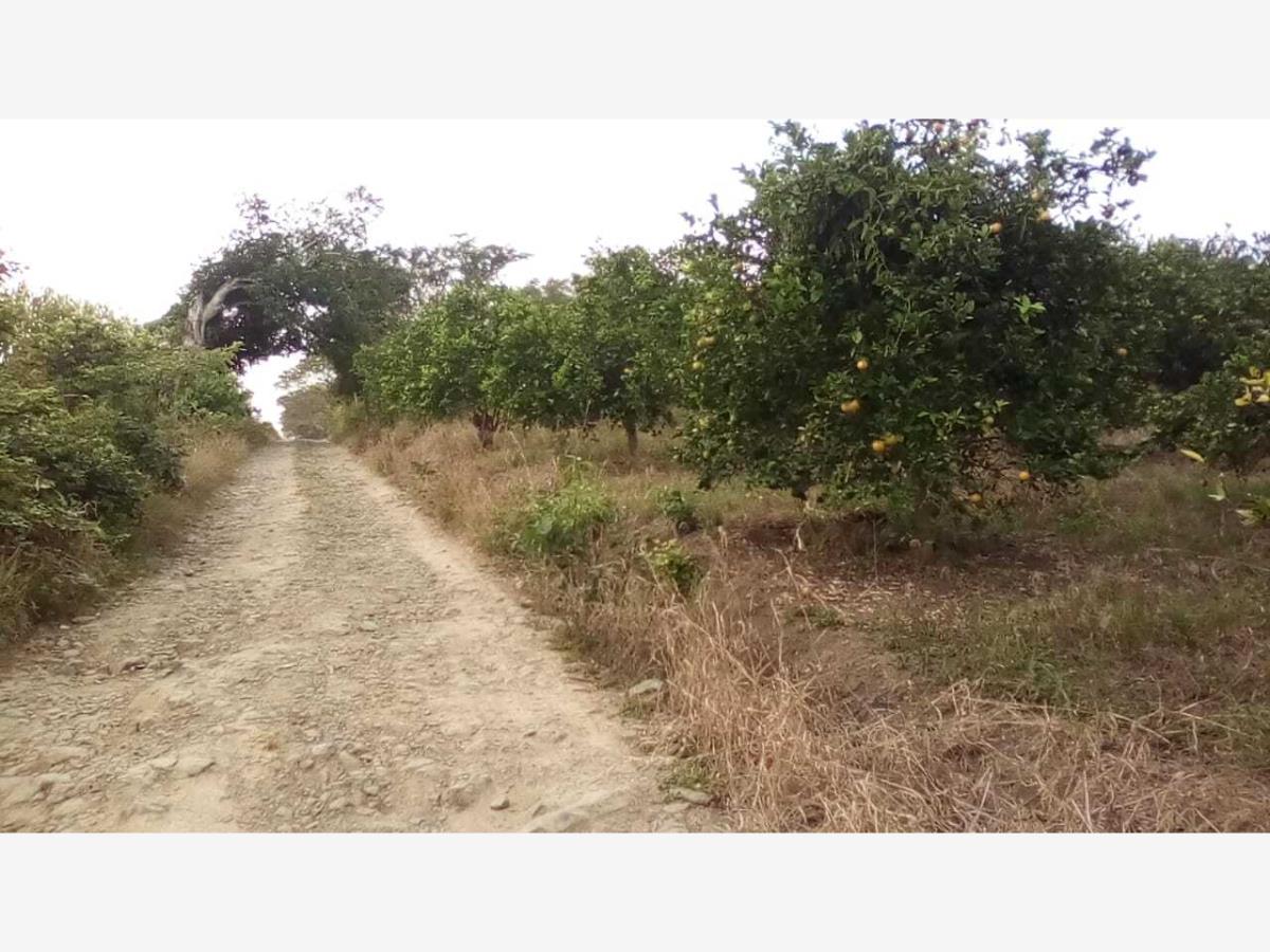 Terreno en venta en La Isla (Kilómetro 10), Tihuatlán — foto 1 de 8