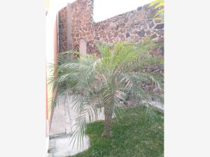 Casa en venta en Residencial Maravillas, Yautepec — foto 3 de 23