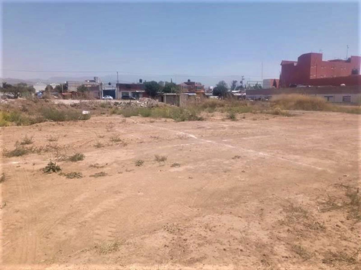Imagen 5
