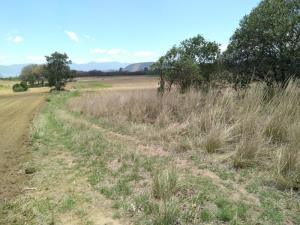Terreno en venta en Michac, Chignahuapan — foto 2 de 87