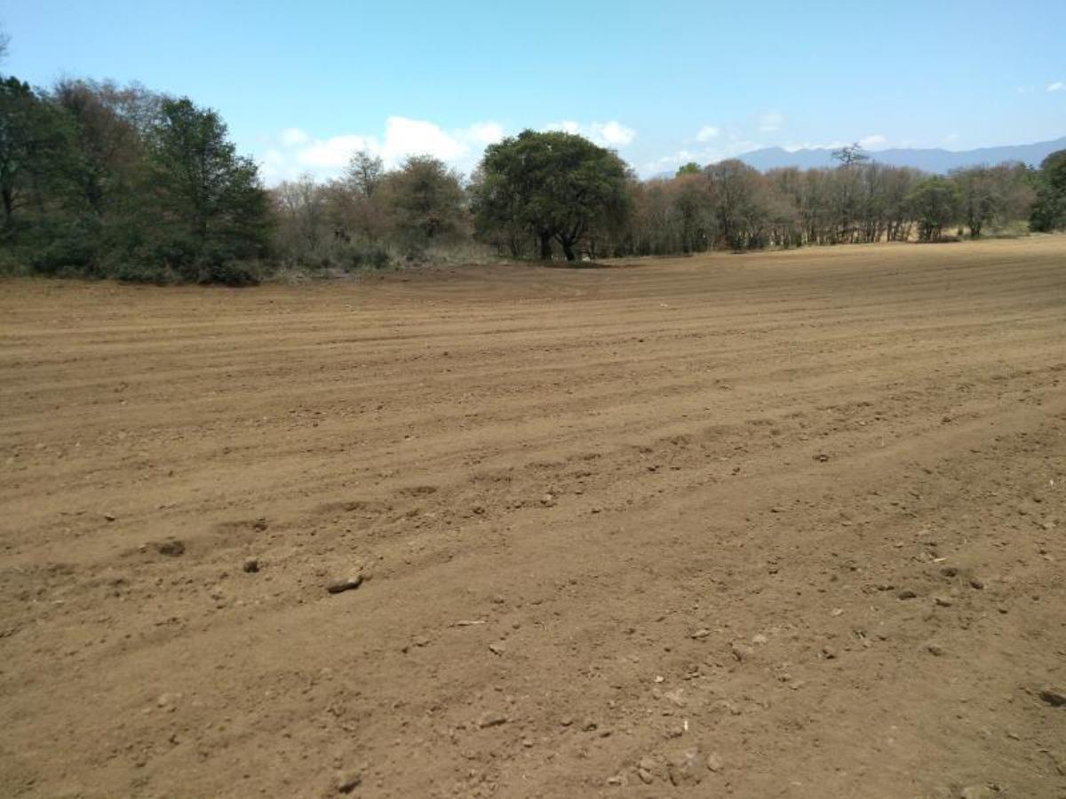 Terreno en venta en Michac, Chignahuapan — foto 1 de 87