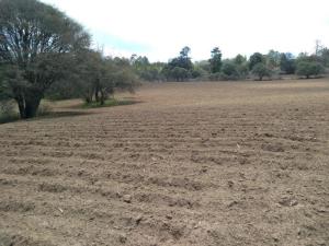 Terreno en venta en Michac, Chignahuapan — foto 3 de 87
