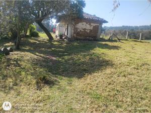 Terreno en venta en San Pedro Atmatla, Zacatlán — foto 3 de 18