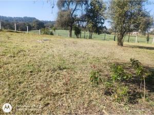Terreno en venta en San Pedro Atmatla, Zacatlán — foto 2 de 18